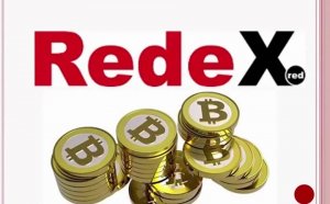 The Fastest Online Earnings