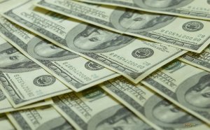 Domestic Earnings